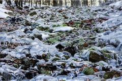 290--Appennino dalla  Focerella al Passo delle Radici-Gelo-alle-Forbici-2