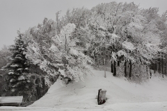 294-Appennino dalla  Focerella al Passo delle Radici-