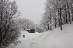 294-Appennino dalla  Focerella al Passo delle Radici-