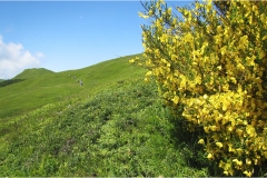 37- Appennino - Dal Monte tondo alla Focerella
