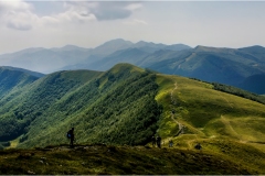 376-Appennino dalla  Focerella al Passo delle Radici