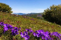 39 - Appennino: Dal Passo di Cirone al Cerreto