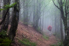 394-Appennino dalla  Focerella al Passo delle Radici