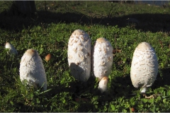 5 Appennino: Dal Passo di Cirone al Cerreto