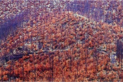 51  Appennino: Dal Passo di Cirone al Cerreto