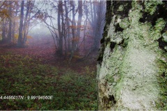 52 - Appennino: Dal Passo di Cirone al Cerreto