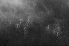 53 - Appennino: Dal Passo di Cirone al Cerreto