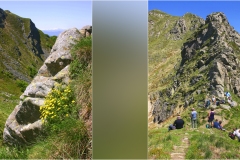 77 - Appennino -Dal Passo di Cirone al passo del Cerreto