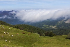 9 Appennino: Dal Passo di Cirone al Cerreto
