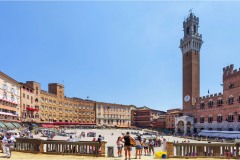 3  Armi e  armature al palio di Siena A.D. 2015-Piazza-del-campo