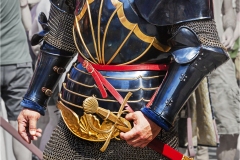  Armi e  armature al palio di Siena A.D. 2015