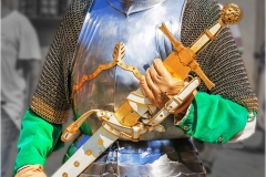  Armi e  armature al palio di Siena A.D. 2015