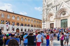  Armi e  armature al palio di Siena A.D. 2015 - La-piazza
