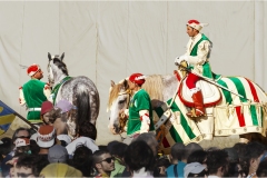  Armi e  armature al palio di Siena A.D. 2015