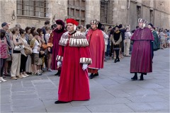 Armi e  armature al palio di Siena A.D. 20152
