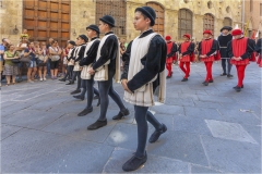  Armi e  armature al palio di Siena A.D. 2015