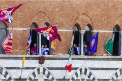  Armi e  armature al palio di Siena A.D. 2015