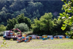  Barbiana- Il paese di Don Lorenzo Milani