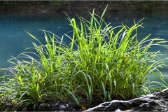 IL-fiume-turchese-  Colle v al d'elsa