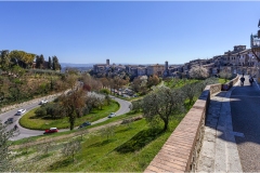 c50 Colle Val D'Elsa -  Centro Storico