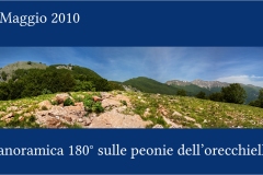 Fiori delle Montagne   Orecchiella -  Le Peonie