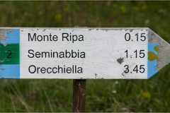 Fiori delle Montagne   Orecchiella -  Le Peonie
