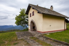 Fiori delle Montagne   Orecchiella -  Le Peonie