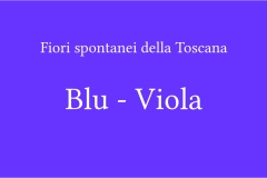 Fiori spontanei della Toscana