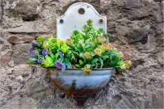 Garfagnana - Castiglione - Particolari