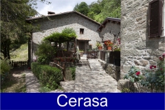 170-  La-Garfagnana - Cerasa