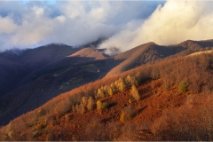 300  Garfagnana - San Pellegrino