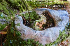 GPS La-Garfagnana - Cerasa