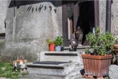 Garfagnana - Vagli di Sotto