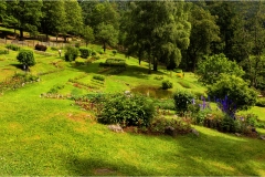 Garfagnana -Orecchiella a colori