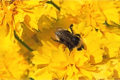 Garfagnana -Orecchiella a colori