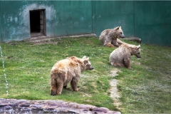 Garfagnana -  Orecchiella a colori