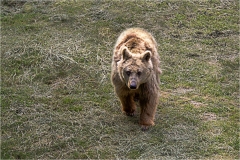 Garfagnana - Orecchiella a colori