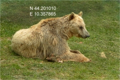 Garfagnana - Orecchiella a colori