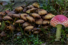 Garfagnana- Sulla strada della galleria del Cipollaio