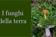 I funghi