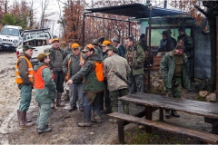La caccia al cinghiale in toscana