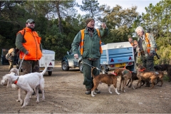 117  --  La caccia al ginghiale in Toscana  -  Il Gabbro