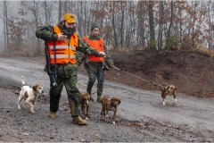 120  -  La caccia al cinghiale in  Toscana