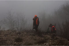 121  -  La caccia al cinghiale in  Toscana