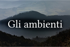 124  -  La caccia al cinghiale in  Toscana