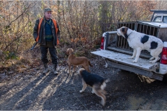 138  -  La caccia al cinghiale in  Toscana