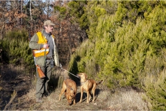 139  -  La caccia al cinghiale in  Toscana