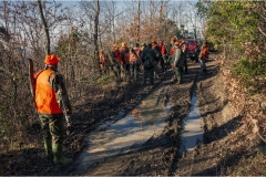 140  -  La caccia al cinghiale in  Toscana