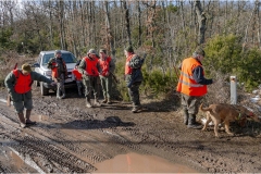 141  -  La caccia al cinghiale in  Toscana