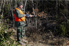 144  -  La caccia al cinghiale in  Toscana